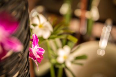 Preview of voucher design 